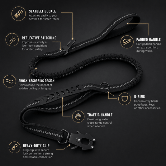 Leash - Shock Absorbing - Imperial Pawz