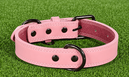 Leather Collar - Classic - Imperial Pawz