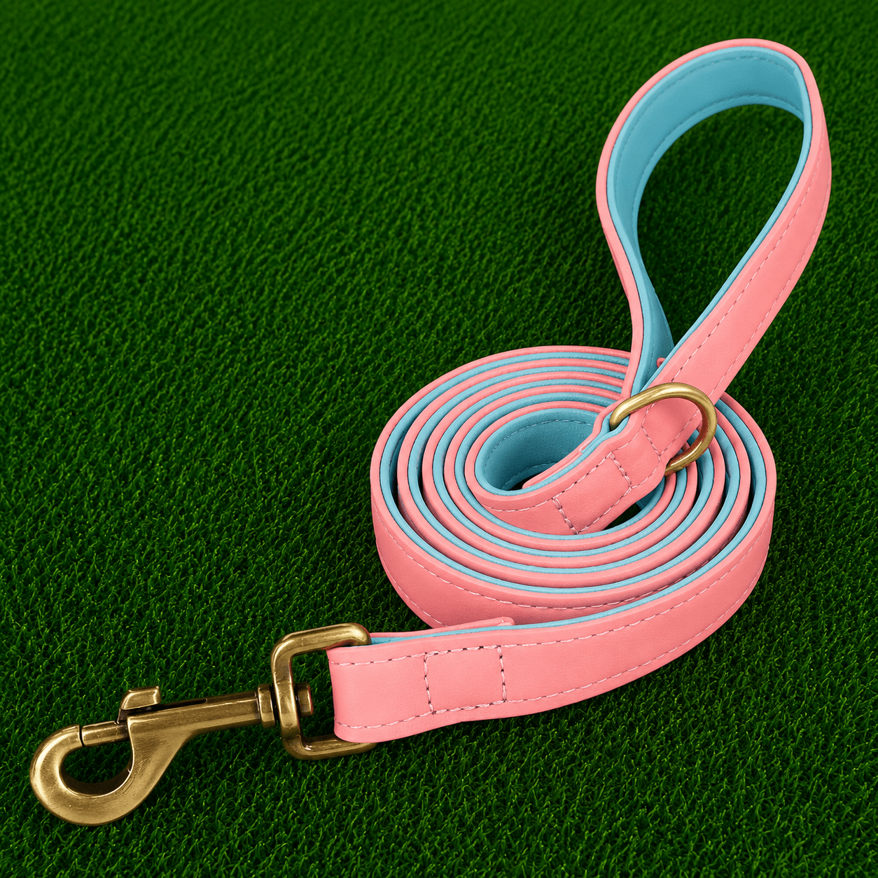 Leather Leash - Pro - Imperial Pawz