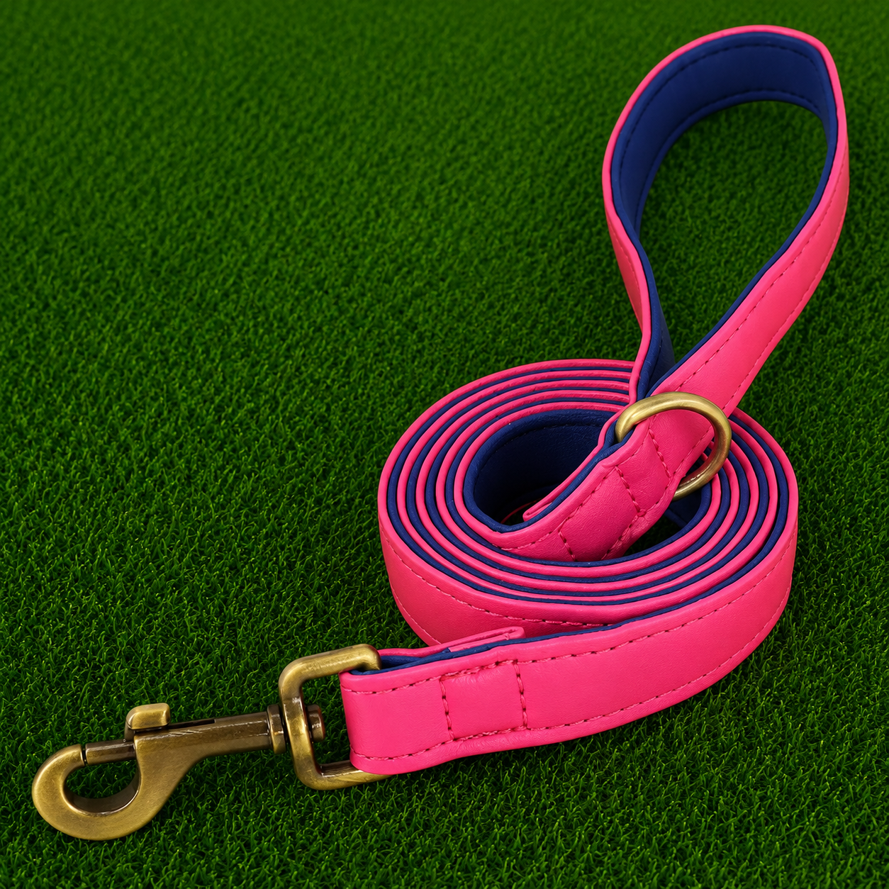 Leather Dog Leash - Pro