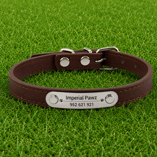 Leather Collar - (Personalized)