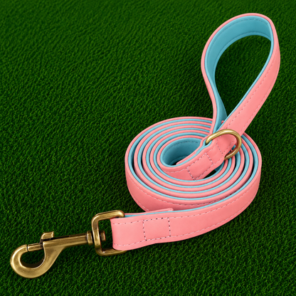 Leather Dog Leash - Pro