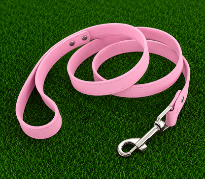 Leather Dog Leash - Classic