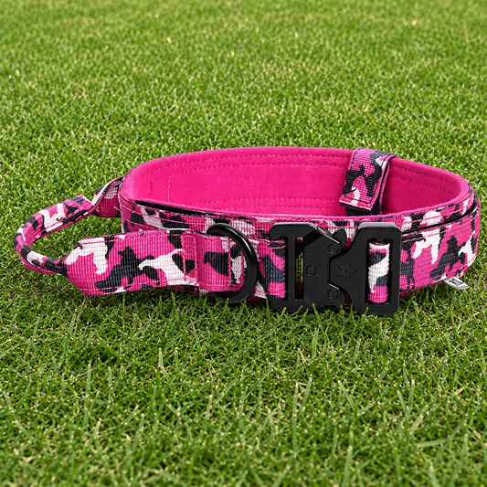 Collar – Quick Release
