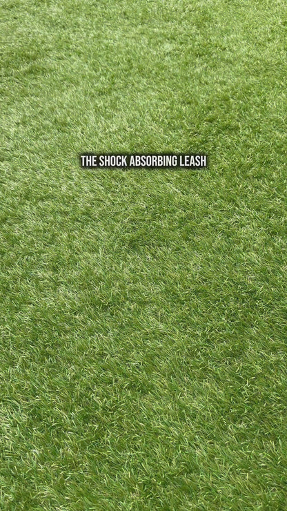 Leash - Shock Absorbing