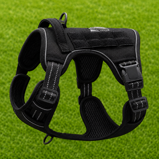Dog Harness – Pro