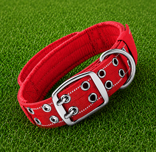 Collar – Double Buckle Pro