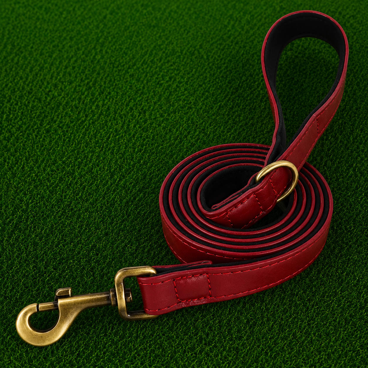 Leather Dog Leash - Pro