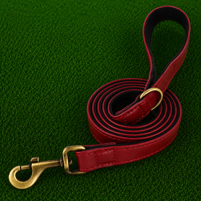 Leather Dog Leash - Pro